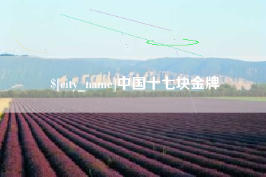 淮南中国十七块金牌