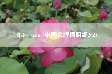 淮南中国金牌榜明细2021