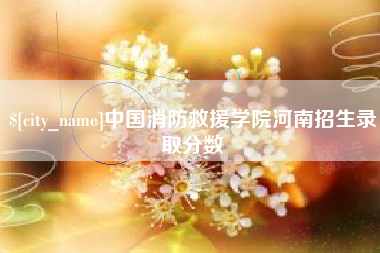 淮南中国消防救援学院河南招生录取分数