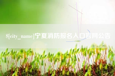 淮南宁夏消防报名入口官网公告