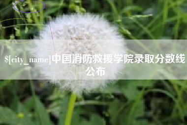 淮南中国消防救援学院录取分数线公布