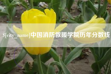 淮南中国消防救援学院历年分数线
