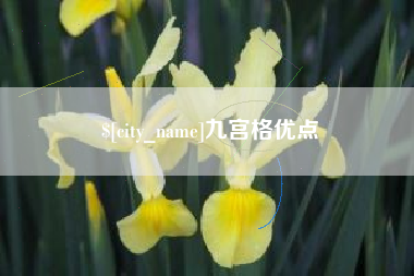 淮南九宫格优点