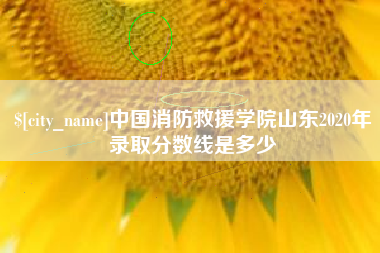 淮南中国消防救援学院山东2020年录取分数线是多少