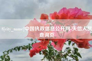 淮南中国执政信息公开网-失信人员查询页
