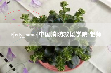 淮南中国消防救援学院 老师