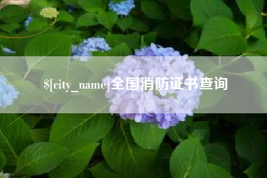 淮南全国消防证书查询