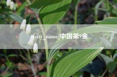 淮南中国第9金