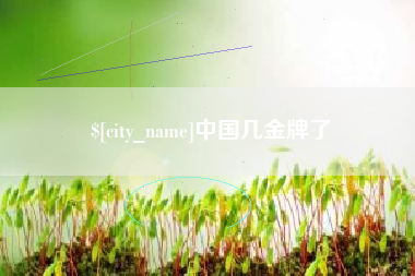 淮南中国几金牌了