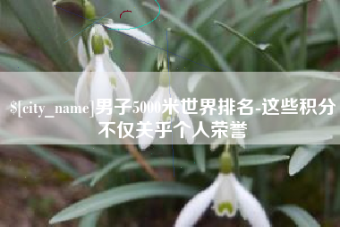 淮南男子5000米世界排名-这些积分不仅关乎个人荣誉