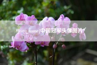 淮南中国冠军头像图片
