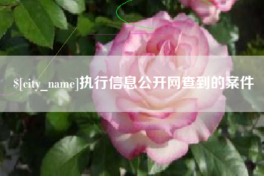 淮南执行信息公开网查到的案件