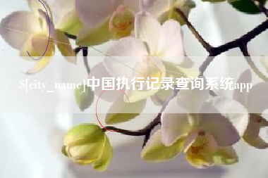 淮南中国执行记录查询系统app