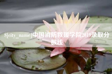 淮南中国消防救援学院2019录取分数线