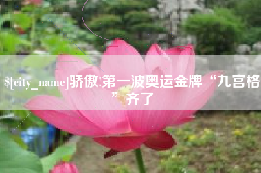 淮南骄傲!第一波奥运金牌“九宫格”齐了