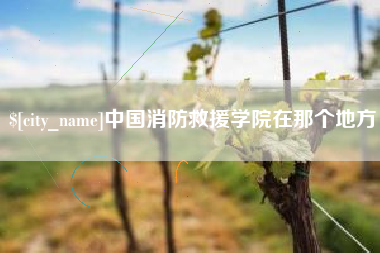 淮南中国消防救援学院在那个地方