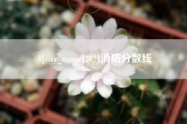 淮南2021消防分数线