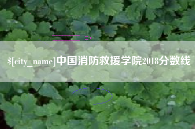 淮南中国消防救援学院2018分数线
