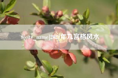 淮南2021年九宫格风水