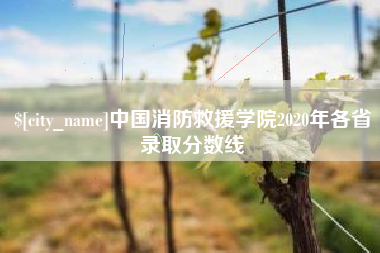 淮南中国消防救援学院2020年各省录取分数线