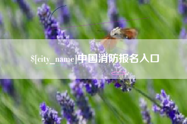 淮南中国消防报名入口