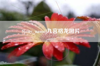 淮南九宫格龙图片