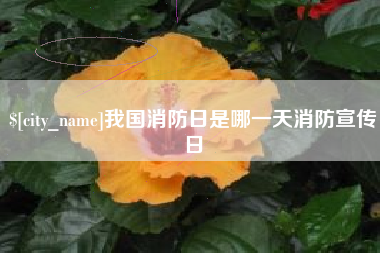 淮南我国消防日是哪一天消防宣传日