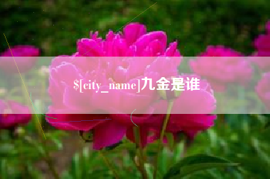 淮南九金是谁