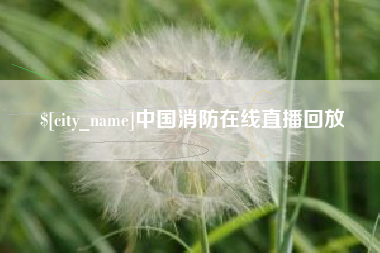 淮南中国消防在线直播回放