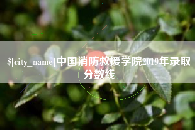 淮南中国消防救援学院2019年录取分数线
