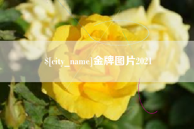 淮南金牌图片2021
