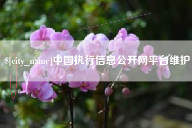淮南中国执行信息公开网平台维护