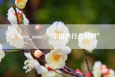 淮南“中国执行公开网”