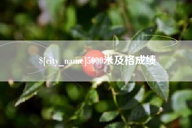 淮南5000米及格成绩