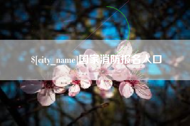 淮南国家消防报名入口