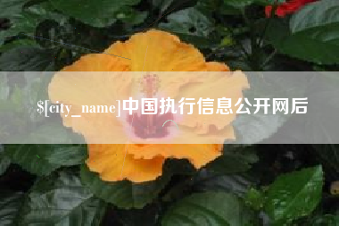 淮南中国执行信息公开网后
