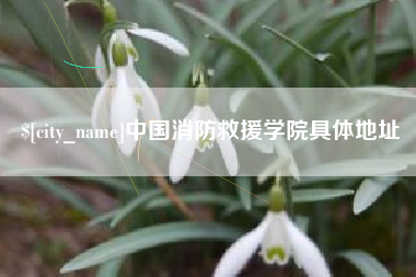 淮南中国消防救援学院具体地址