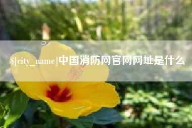 淮南中国消防网官网网址是什么