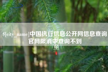 淮南中国执行信息公开网信息查询官网限消中查询不到