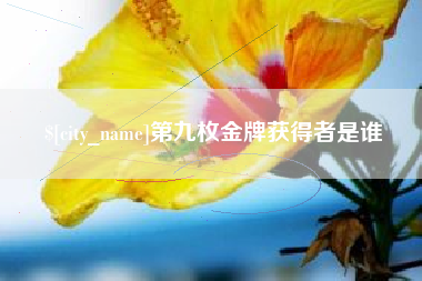 淮南第九枚金牌获得者是谁