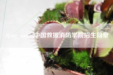 淮南中国救援消防学院招生简章