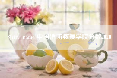 淮南中国消防救援学院分数2020
