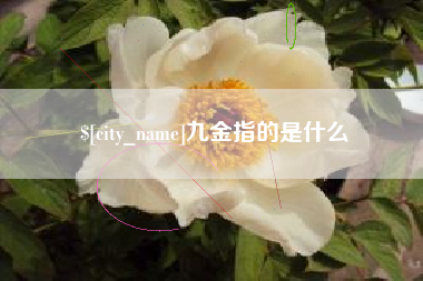淮南九金指的是什么
