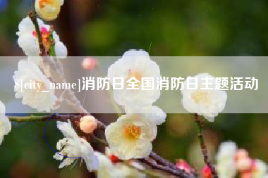 淮南消防日全国消防日主题活动