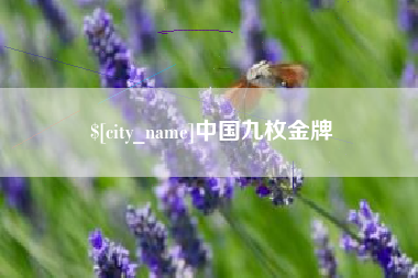 淮南中国九枚金牌