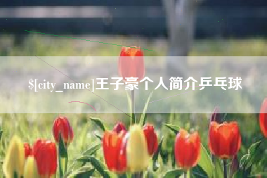 淮南王子豪个人简介乒乓球