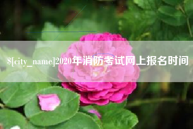 淮南2020年消防考试网上报名时间