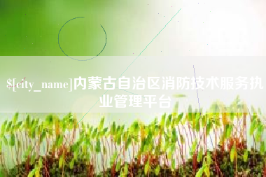 淮南内蒙古自治区消防技术服务执业管理平台
