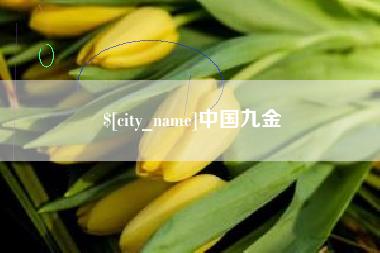淮南中国九金