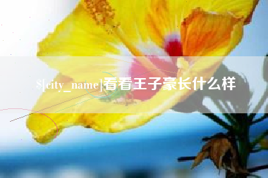 淮南看看王子豪长什么样